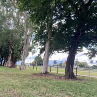 Photo by Lee-Anne F.