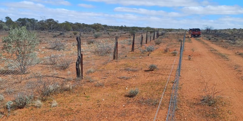 Photo by NightRanger D.