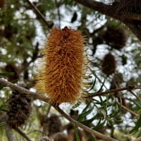 Photo by Chelsea and Jye