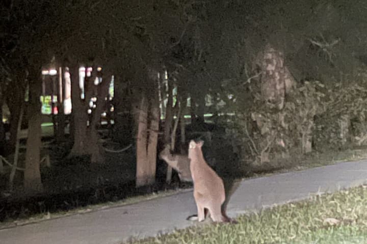 Photo by Robyn Shannara Bryson