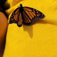 Photo by Sanchia Keeleigh Gray