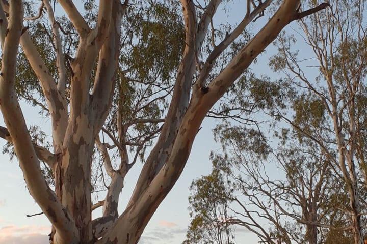 Photo by Michelle D.