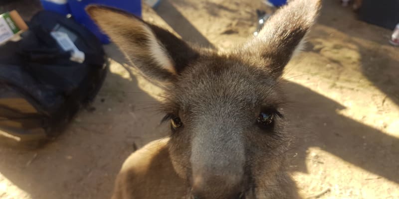 Photo by Gabriela A.