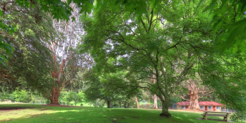 Photo by [deleted user]