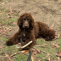 Photo by Clarissa W.