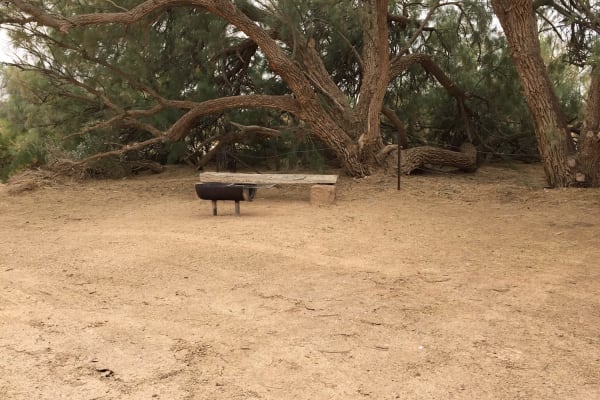 Photo by Maryjane & Luke