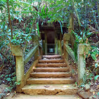 Photo by My Rig Adventures