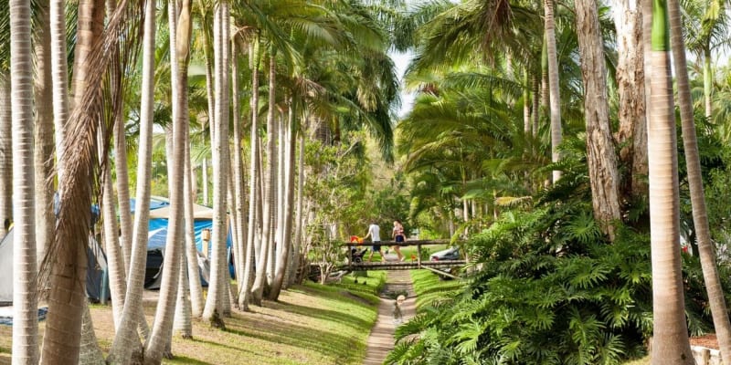 Photo by Caroline B.