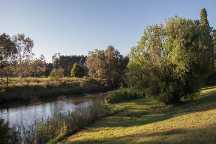 Photo by Michelle W.