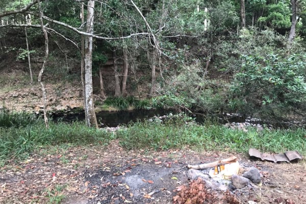 Photo by Nickelle H.