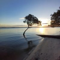 Photo by Christopher B.