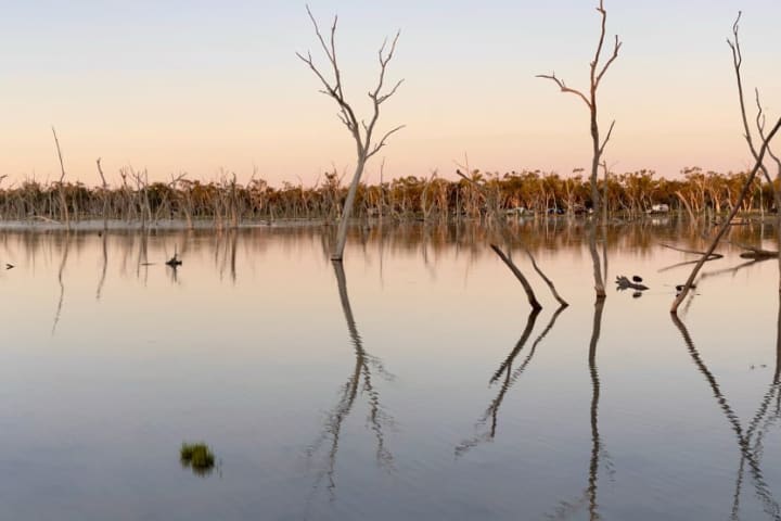 Photo by Tassie-Devil