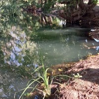 Photo by Colin van den Hoff