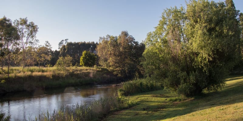 Photo by Michelle W.