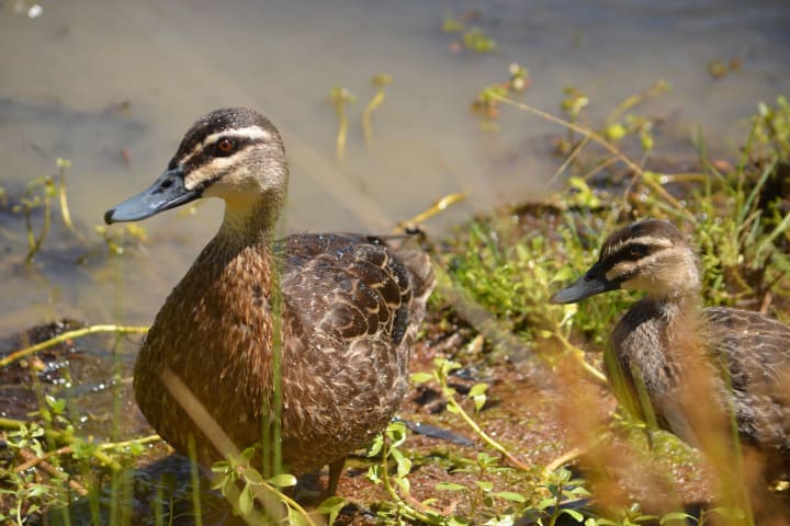 Photo by Guest.Relations