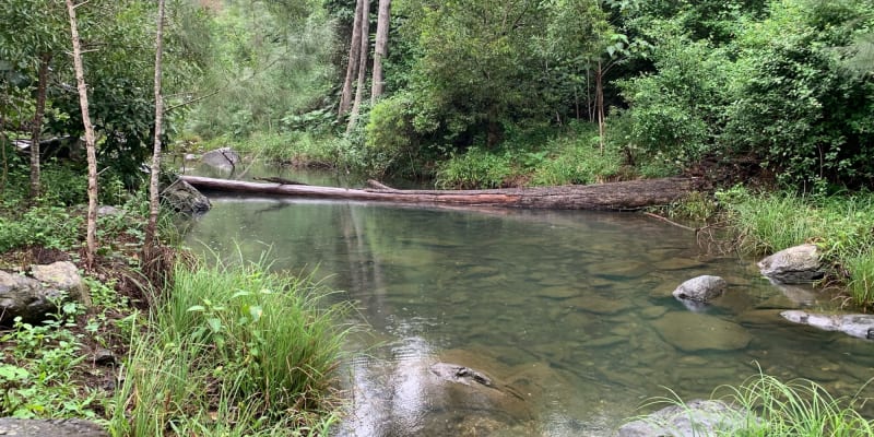 Photo by Off The Trax