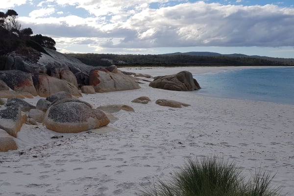 Photo by Christopher H.