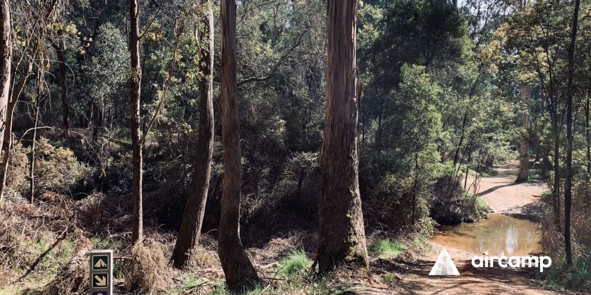 Yackandandah Creek Site 9