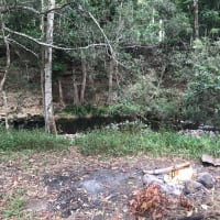 Photo by Nickelle H.