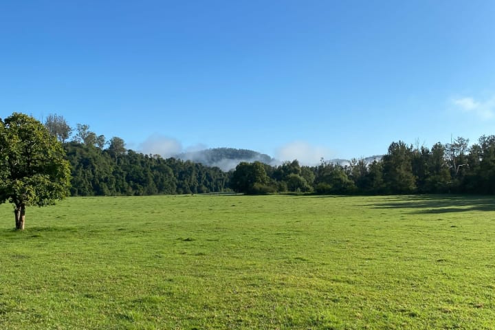 Photo by Louise Le Roux