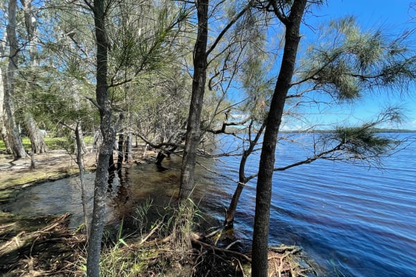 Photo by Nattaporn B.