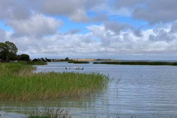 Photo by Matthias H.