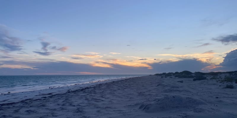 Photo by Elisabeth D.