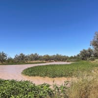 Photo by Happy Hour Hunters