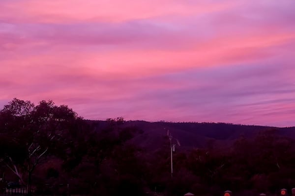 Photo by Nickolas S.