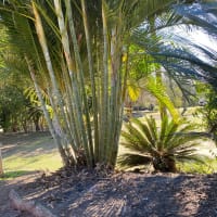 Photo by Cristina B.