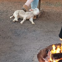 Photo by NightRanger D.