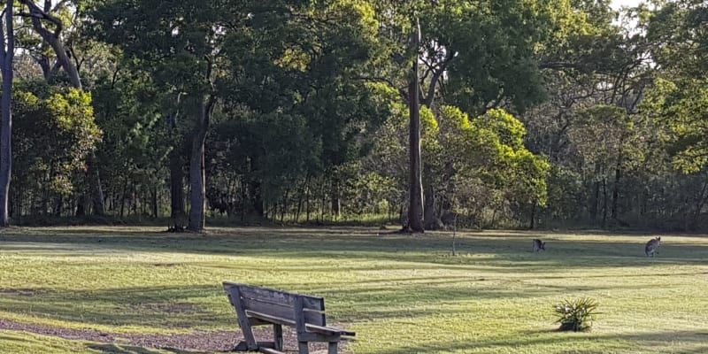 Photo by Deepwater Hideaway Farm Camp Stay