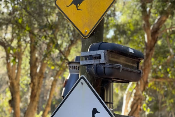 Photo by Nott Chutima Phayungporn