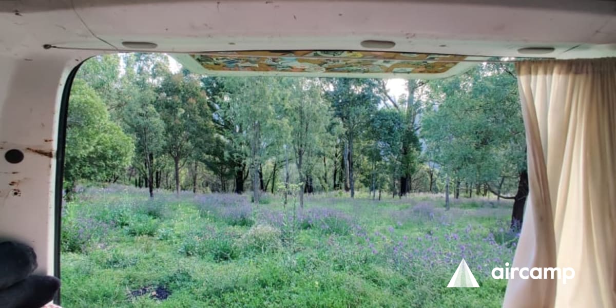 Dunphys campground