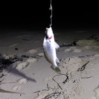 Photo by Tuan Rooster Nguyen