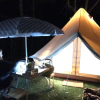 Photo by Alistair C.