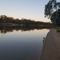 Photo by Donna Alston Hobbs