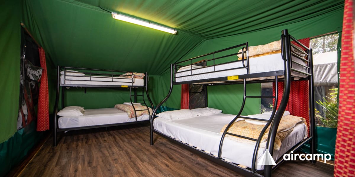 Binna Burra Rainforest Campsite
