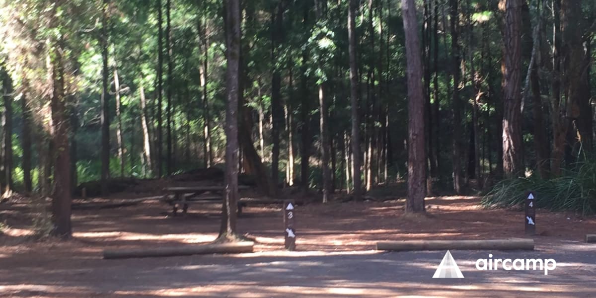 Big Brook Arboretum