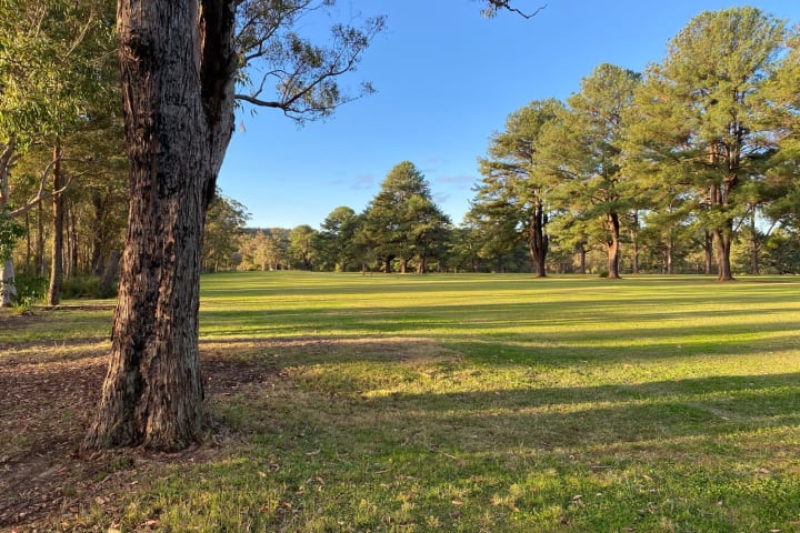 Photo by Michelle H.