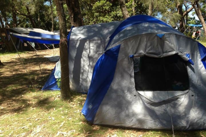 Photo by Mariana Lorena Vozone