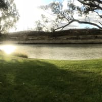 Photo by Amanda Jain Hornett