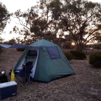 Photo by Kristine B.