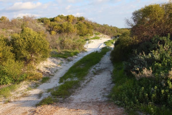 Photo by Four Hands in a Tin Can