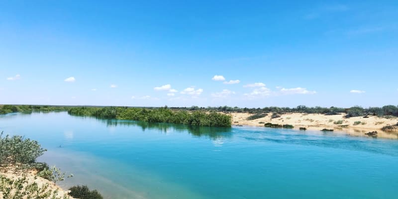 Photo by jennifer b.