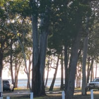 Photo by Kath & Dale