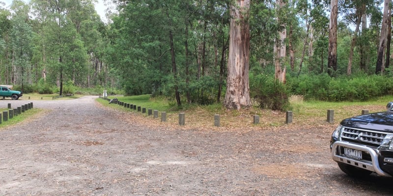 Photo by prashant h.