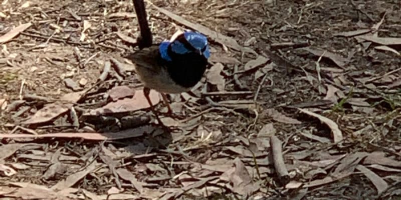 Photo by Gabrielle E.