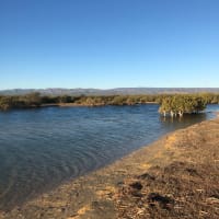 Photo by Edwin Van Ravesteyn