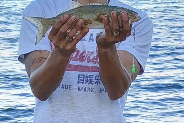 Photo by Tuan Rooster Nguyen